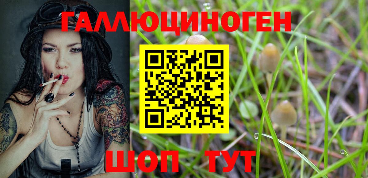 Кодеин  ГЕРОИН  Новошахтинск  Мефедрон кристаллы  МАРИХУАНА  LSD-25  Cocaine  МЕТ  ГАШИШ  Вход с VPN 