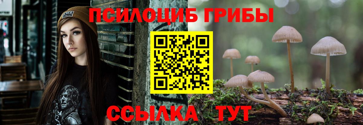Галлюциногенные грибы мицелий  Вход с VPN  Новошахтинск 