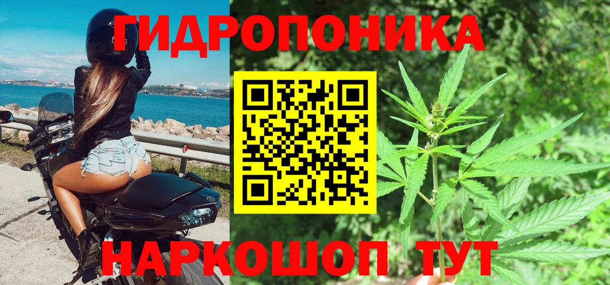 Бошки Шишки сатива Новошахтинск